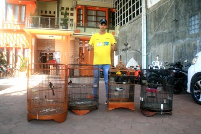 H. Adi &quot;Gombloh&quot; Lukito - Boss Mild Bird Club, Pasuruan : MERAJUT SILATURAKHMI MELALUI LOMBA BURUNG KICAUAN