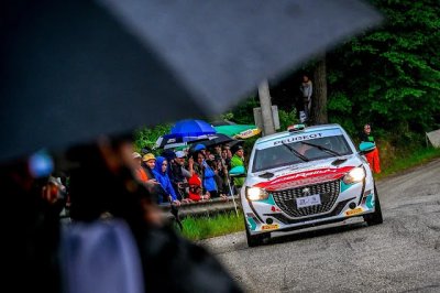 Peugeot 208 RALLY4, Mobil Standar Kejuaraan Rally Kelas 2WD di Eropa