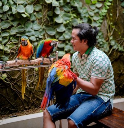 Mevans Sanggramawijaya. Di tengah keceriaan bersama burung Macaw koleksinya, di saat event otomotif vakum. 