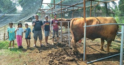 Fantastis, Rizqy Motorsport Kembali Jalankan Tradisi Menyanbut Idul Adha 2024, Berqurban 130 Ekor Sapi &amp; Kambing