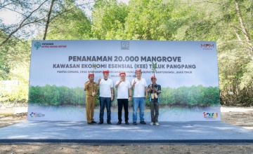 Peringati Hari Lingkungan Hidup Sedunia, Yayasan AHM dan MPM Honda Jatim Tanam Puluhan Ribu Mangrove di Banyuwangi