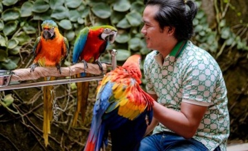 Koleksi Macaw Mevans Sanggramawijaya - Onesixeight Racing Team : MENJELMA JADI PENCERAH PANGERAN NURHIKMAH PUTRA JAYA